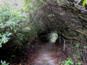 Get Off the Road (Photo) by Jordan Bernal